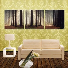 SUNRAY&TREES ready to hang 3 pcs framed/mounted canvas print/Surpassed stretched