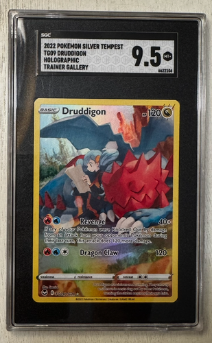 Druddigon TG09/TG30 Swsh12: Sword & Shield - Silver Tempest Trainer ...