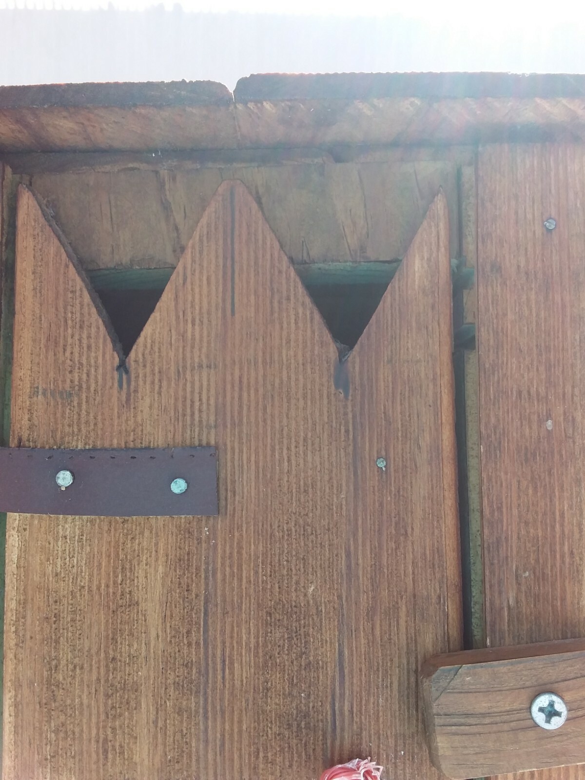 Picture 6 of 10