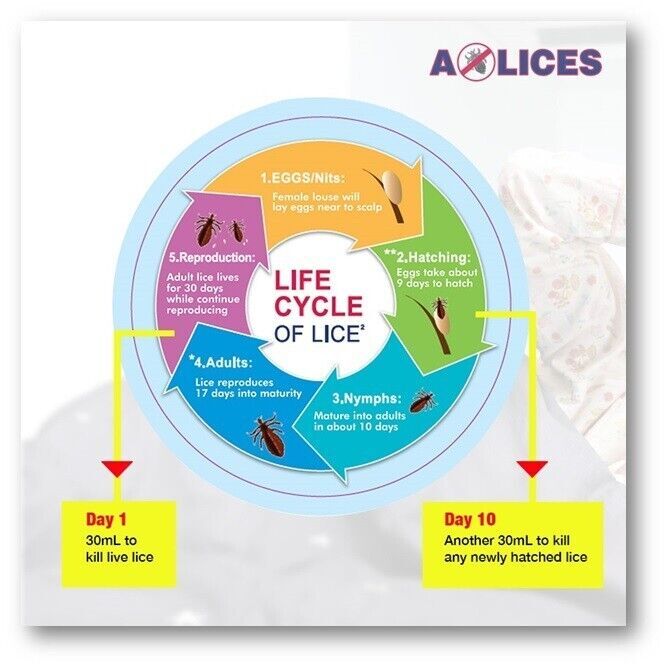 1X ALices Lotion 1 60ml Head Lice Shampoo Kill Head & Crab Lice FREE