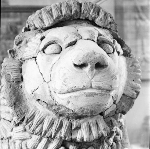 IRAN c. 1960 - Statue Sculpture Tête de Lion - Négatif 6 x 6 - IRAN 114 - Afbeelding 1 van 1