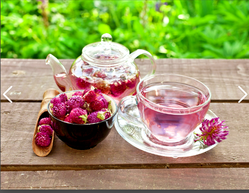 2000 X RED CLOVER SEEDS-VEGETABLE-HONEY SUBSTITUTE-WILDFLOWER-HERBAL TEA PLANT - Picture 4 of 6