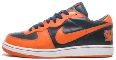 Nike Zoom Terminator Low Syracuse for Sale | Authenticity