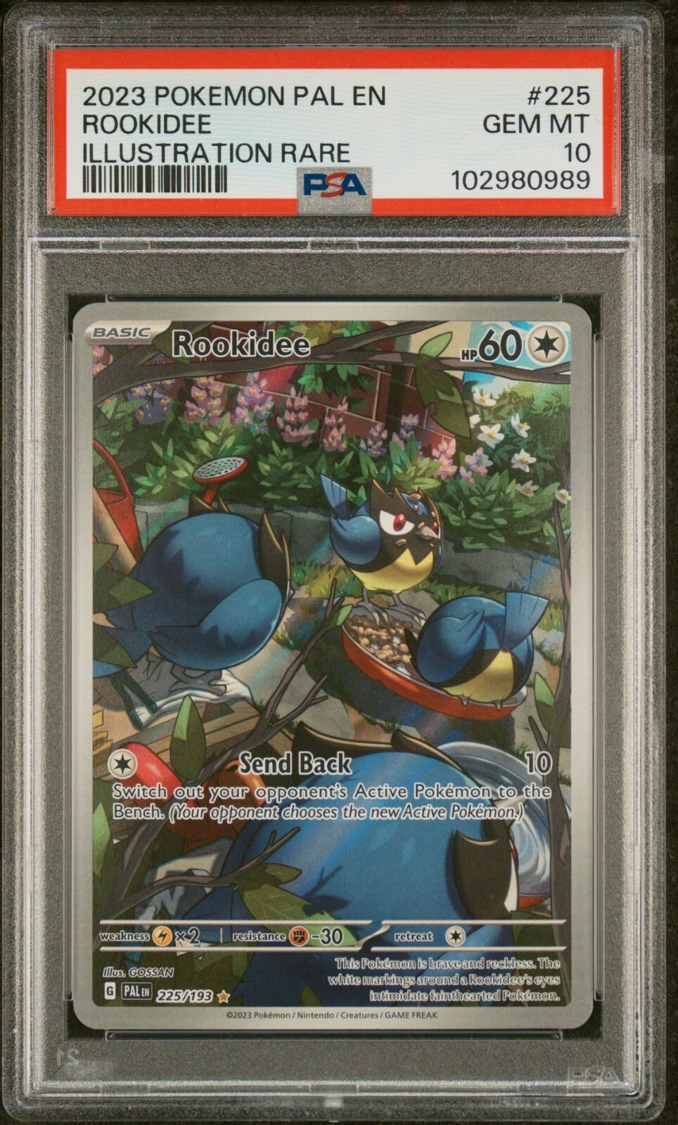 2023 POKEMON PAL EN-PALDEA EVOLVED ILLUSTRATION RARE #225 ROOKIDEE PSA 10