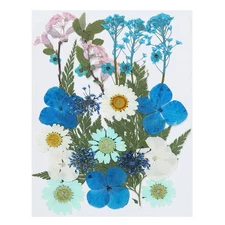 Dried Pressed Flowers Natural Leave Real Pressed Flowers Hydrangea Style