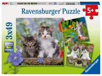 SüßE SamtpföTchen - Puzzle 3 X 49 Teile Spiel Kinderpuzzle Standard 3X49 Puzzle