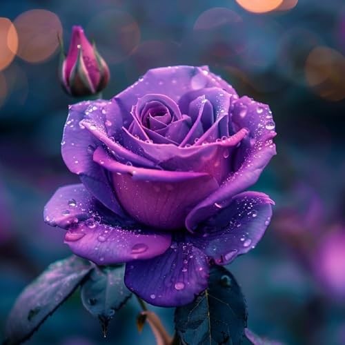 Mix Climbing Rose Seeds for Planting, 30+pcs Beauty Rare Rose