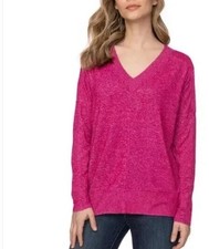 NEW Buffalo David Bitton Pullover Super Soft V-Neck Sweater Size M F137