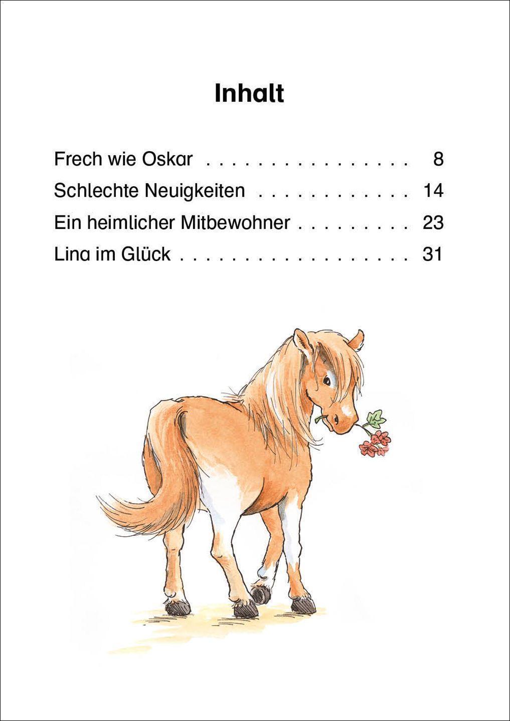 Thumbnail - Leselöwen 1. Klasse - Das Neue Pferd In Der Reitschule | Eva Hierteis