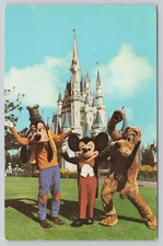 Mickey Goofy Pluto Castle Disney World vintage chrome  Postcard *c1