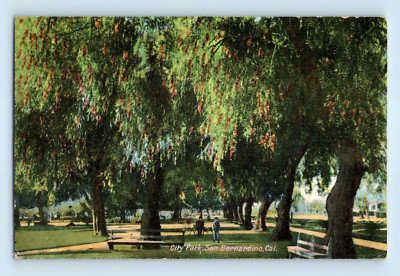 City Park Huge Tree Canopy Walking Trails San Bernardino California Postcard B6