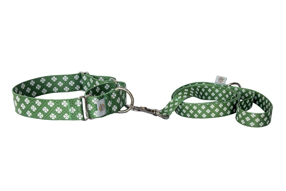 Juego de collar y correa mediana Martingala Lucky Dog, alternativa, día de San Patricio Foto 2 de 4