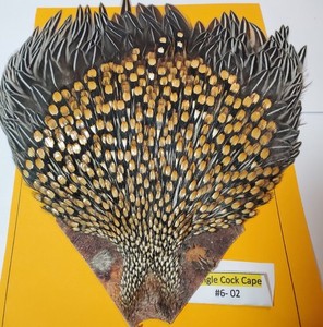 Jungle Cock Cape | eBay