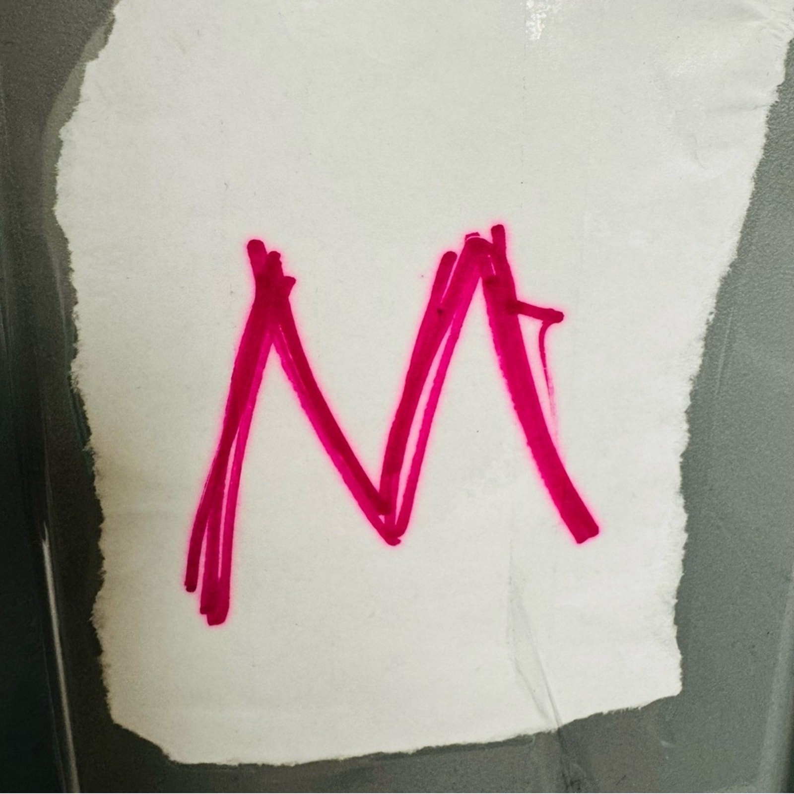 Hylete Flexion Pants light gray drawstring jogger… - image 12