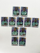 Complete Guide to Panini World Cup Sticker Albums 17