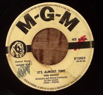 SHEB WOOLEY ITS ALMOST TIME/ROUGHNECK MGM RECORDS VINYL 45 52-168