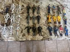 30 Vintage Lanard The Corps Action Figures 3 3/4 Inch GI Joe Lot 3.75”