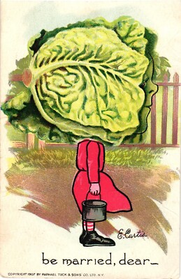 Tuck's Humor Cabbage Head BE MARRIED DEAR Signed E Curtis c1907 Postcard