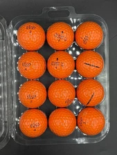 Vice Pro Plus 'Pine(hurst) ' AAAA Near Mint 12 Used Golf Balls 4A