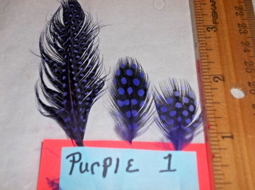 Guinea hen feathers 1/2 skin pelt natural red blue green yellow orange + more - Picture 50 of 65