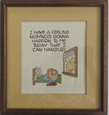 Vintage Hand Made Ziggy Cross Stich ''I have A Feeling''  Framed 10''X 10''