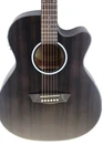 Washburn Deep Forest Ebony ACE Acoustic-Electric Guitar  #R7398