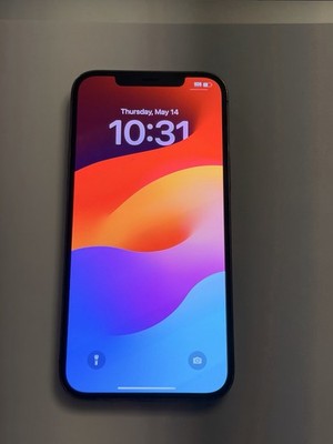Apple iPhone 12 Pro Max - 128 GB - Graphite (Unlocked)  A2342 (NO FACE ID)