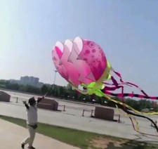 9M Large 3D Kites models Original Software kite jellyfish painted flower Demo01