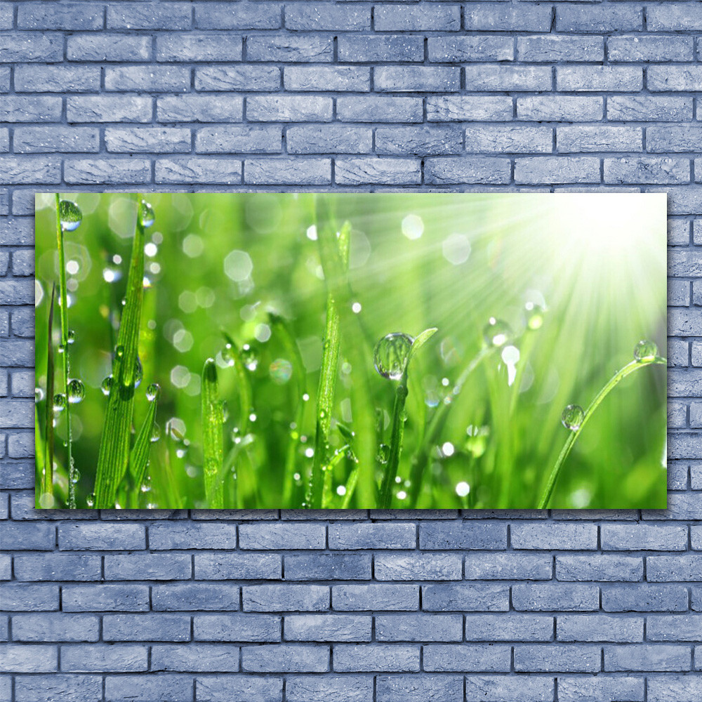 Impression sur verre acrylique de nature avec herbe finition haute brillance