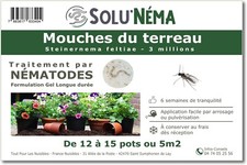 SOLUNEMA - Nématodes Contre Les Mouches du Terreau 3M Longue Durée