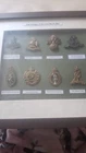 Lovely Framed Collection Of Cap Badges Ww1  Inc Army Remount Service