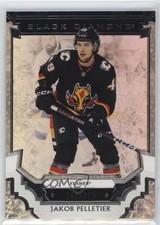 2023-24 Upper Deck Black Diamond Rookies 245/349 Jakob Pelletier #BDB-PE 0c3
