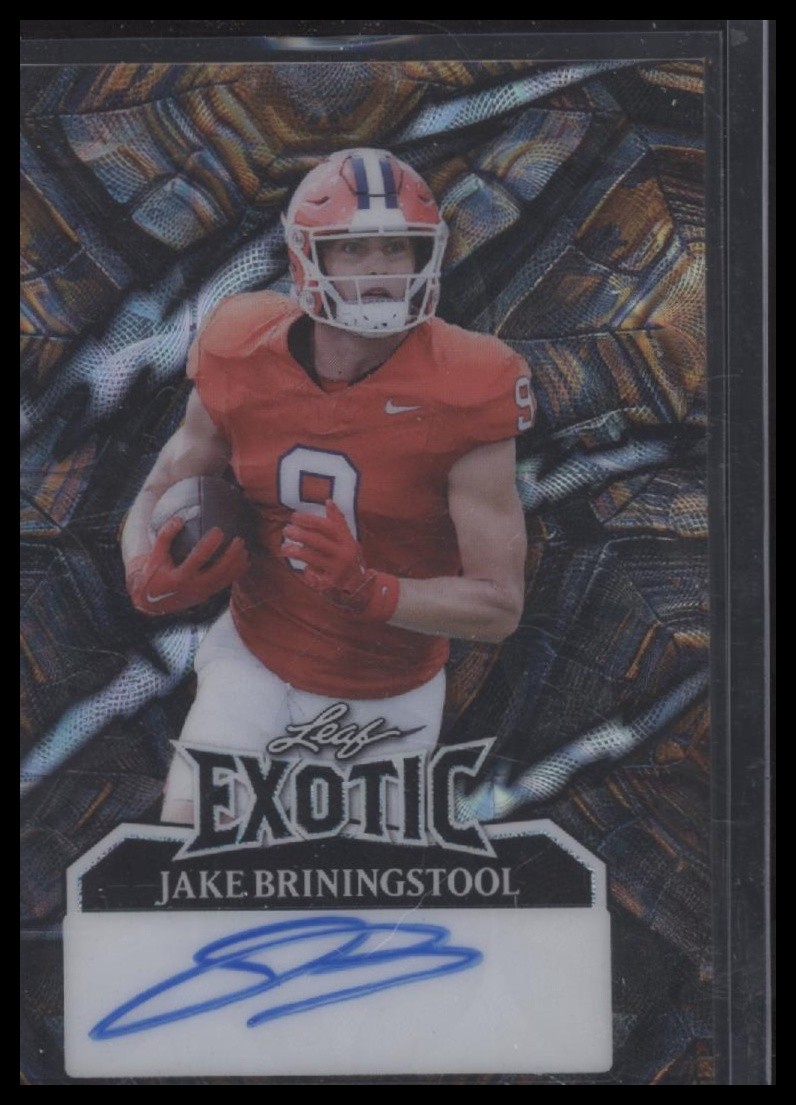 2024 Leaf Eclectic - Exotic Kaleidoscope Turtle #E-JB5 Jake Briningstool #/8
