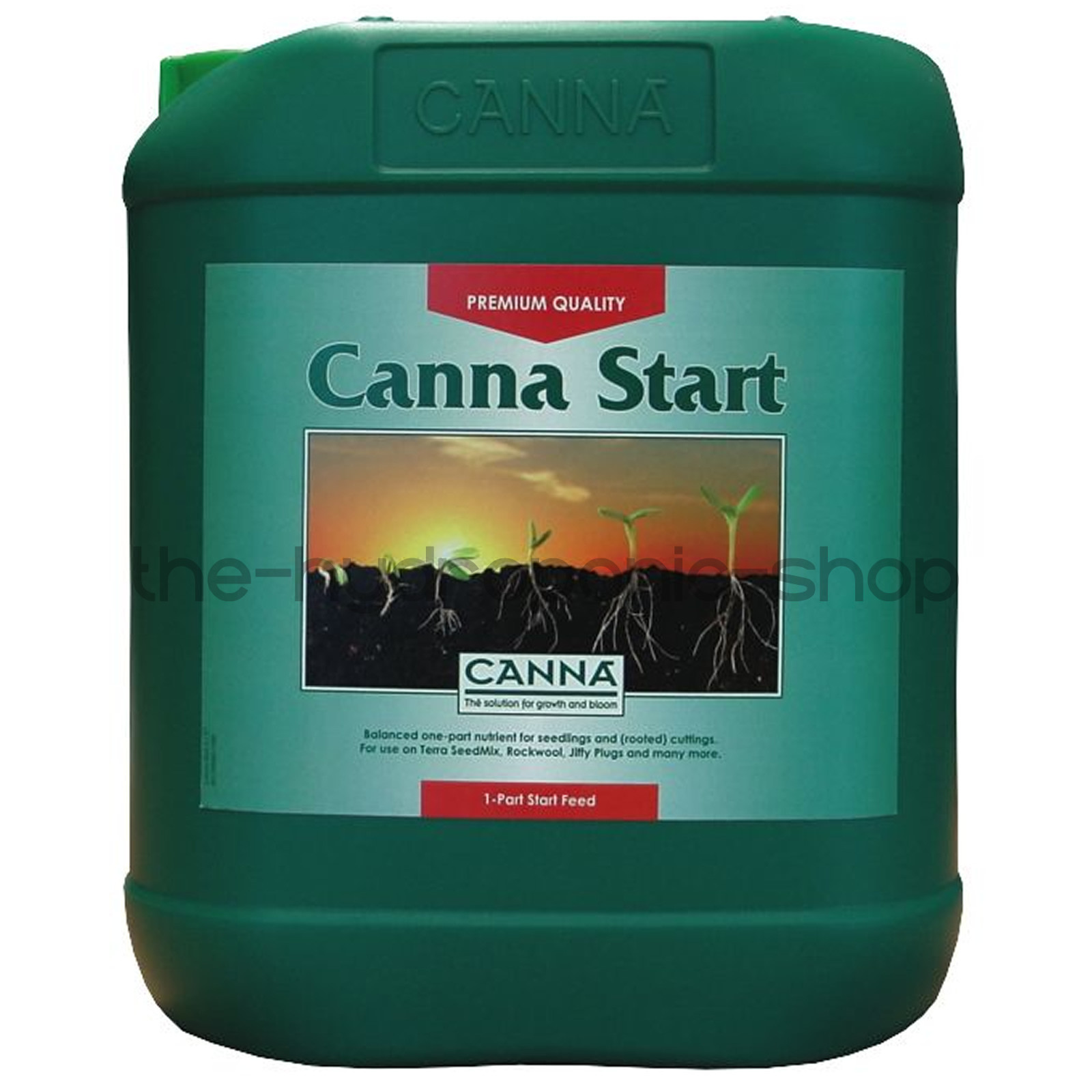 Canna Start 5 Litre Young Plants Cuttings Seedlings Hydroponics