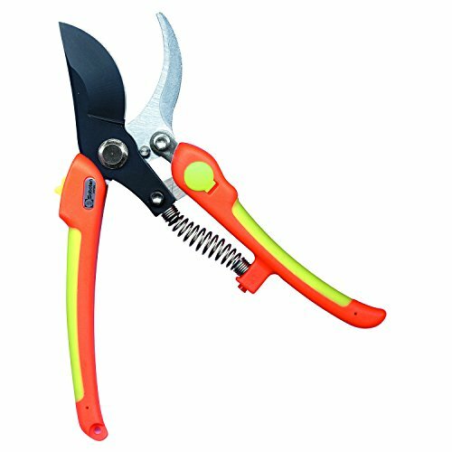 Saboten☆ Saboten Scissors Professional Trimming PT-1 STRAIGHT ORANGE