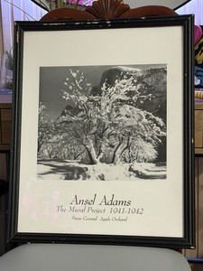 Ansel Adams Snow Covered Apple Orchard Framed Print The Mural Project 1941-1942