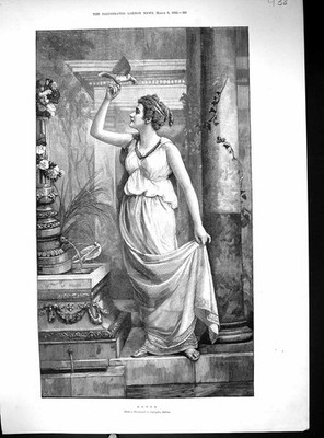 Antiker alter Druck 1894 Portrait schöne Frau Tauben Vögel Lafayette Dublin