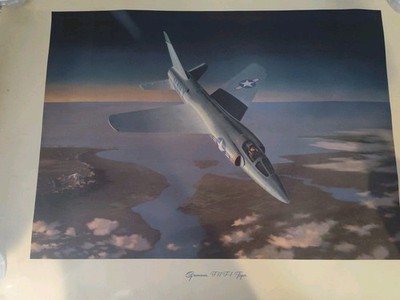 Rare Vintage poster print US Navy GRUMMAN F-11,F-1 Tiger BY CHESLEY BONESTALL VG