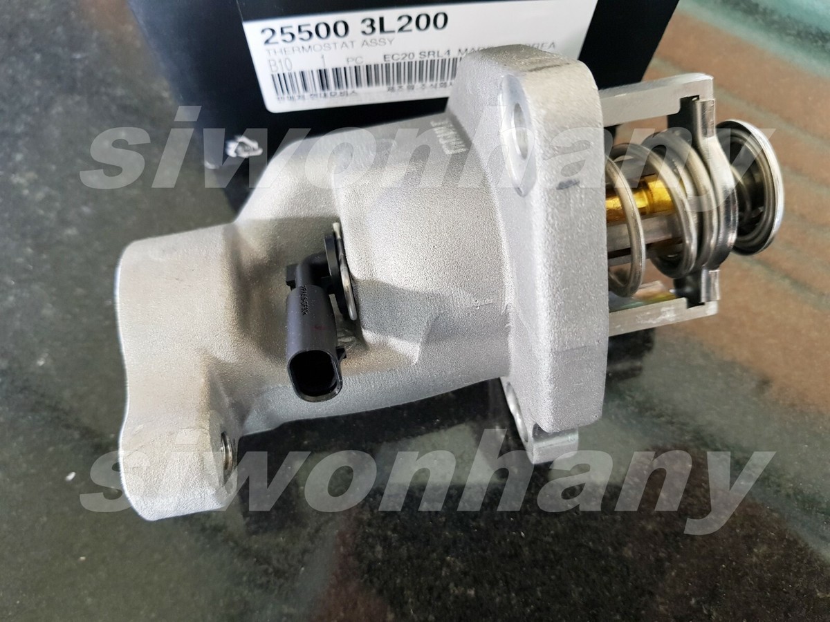 ビーター② カリブ ビーター② カリブ ビーター② カリブ ze42_3127_main.jpg