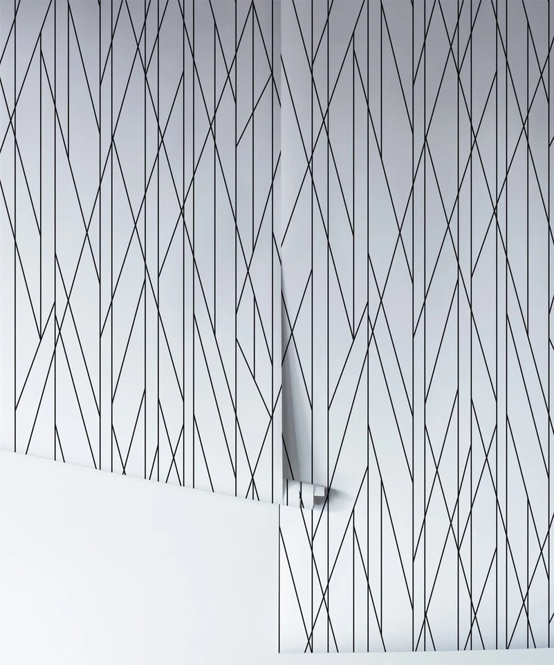 NUEVO (x2) Papel Pintado de Lujo Rolls of Milton & King Designer - Nixon (valor 220 dólares) Foto 3 de 4