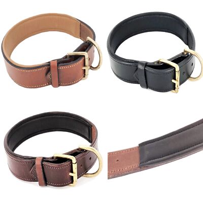 Dog Collar 1.5'' Width Genuine Real Leather Padded Heavy Duty Medium Large Pet