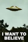 I Want To Believe Poster UFO Artwork Alien 16x24
