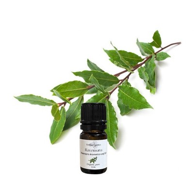 Ravensara Essential Oil, Organic, Pure, Natural