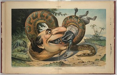 Swallowed,W J Bryan,Democratic Party,Populist,donkey,snake,elections,Pughe,1900