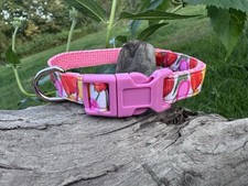 Dog/Cat/Puppy Heavy Duty Collar Pink With Flo...