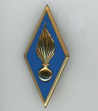 Inspection du cadre Spécial Insigne Fraisse G 3136