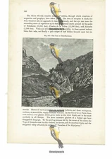 Pass Of Despenaperros, Spain, Book Illustration (Print), 1880