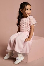 Coast Pink Dress Womens Occasion Dresses