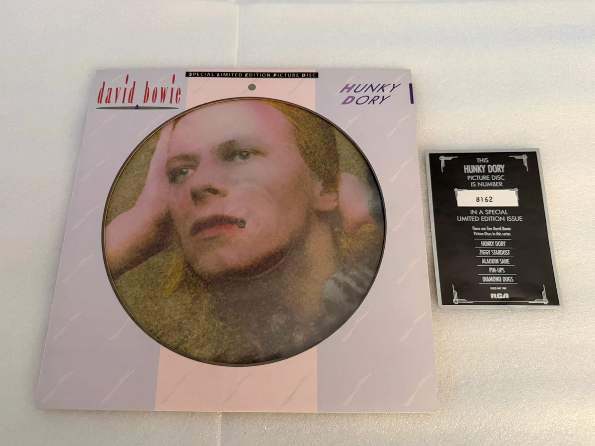 David Bowie Picture Disc Music Records for sale - eBay