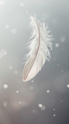 Floating Ambient White Feather Wallpaper Calm Minimal Aesthetic Phone Background